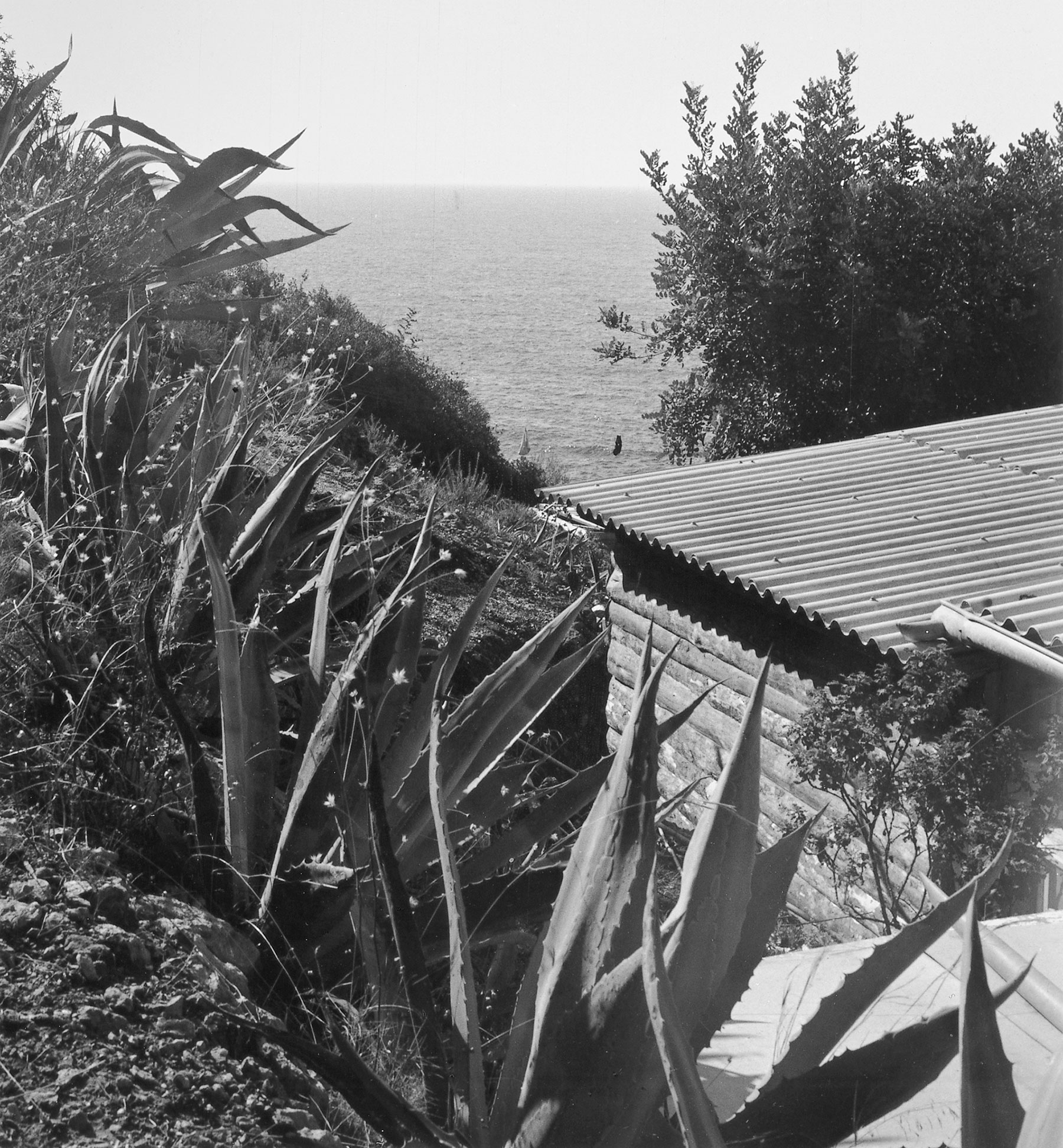 写真「カップ・マルタンの休暇小屋」